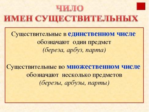 Существительное только в единственном числе примеры