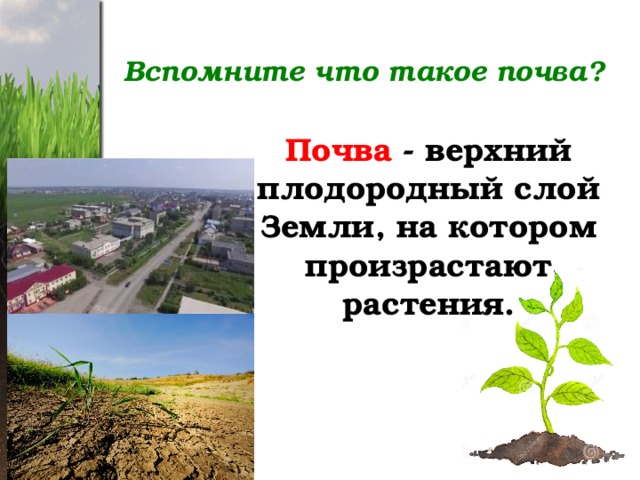Вспомните что такое почва? Почва - верхний плодородный слой Земли, на котором произрастают растения. 