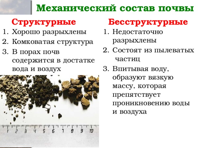 Механический состав почвы Бесструктурные  Структурные Хорошо разрыхлены Комковатая структура В порах почв содержится в достатке вода и воздух Недостаточно разрыхлены Состоят из пылеватых частиц Впитывая воду, образуют вязкую массу, которая препятствует проникновению воды и воздуха 