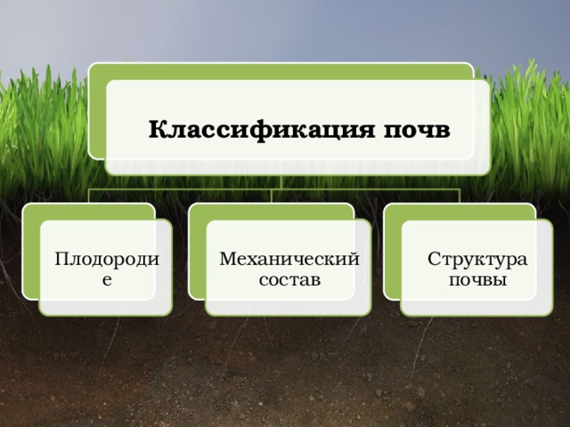 Классификация почв Плодородие Механический состав Структура почвы 