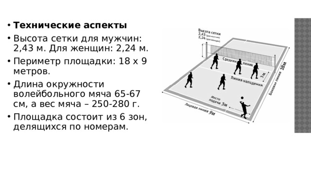 Математика в волейболе проект