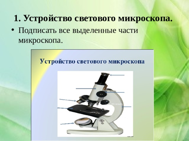 Лабораторная работа микроскоп 5 класс