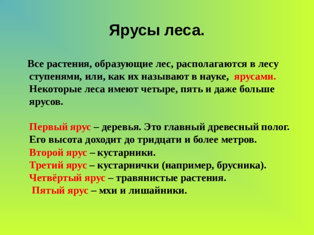 Ярусы леса 4 класс окружающий мир схема