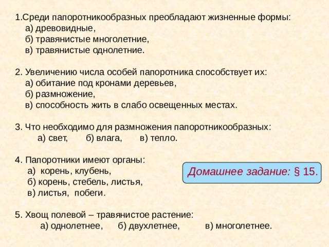 Презентация к уроку "Отдел Папоротниковидные"