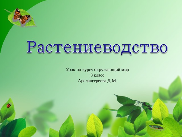 Урок по курсу окружающий мир 3 класс Арслангереева Д.М. 