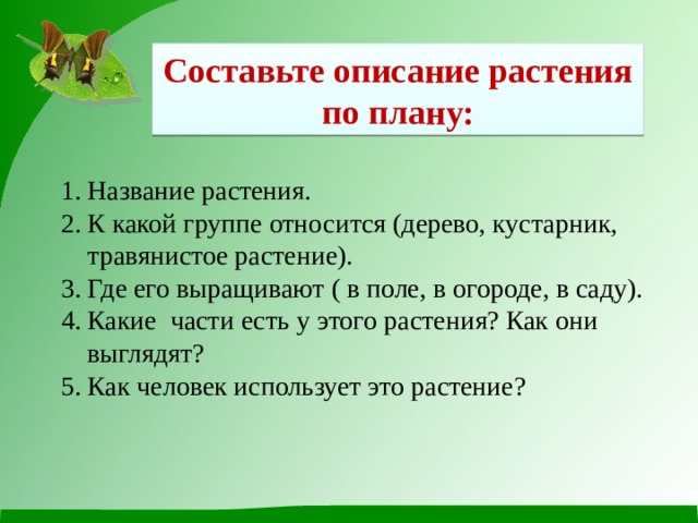 Составьте описание растения по плану: Название растения. К какой группе относится (дерево, кустарник, травянистое растение). Где его выращивают ( в поле, в огороде, в саду). Какие части есть у этого растения? Как они выглядят? Как человек использует это растение? 