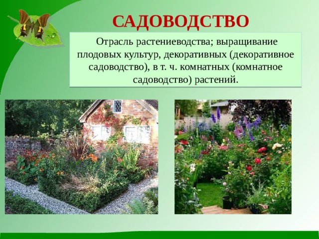 САДОВОДСТВО  Отрасль растениеводства; выращивание плодовых культур, декоративных (декоративное садоводство), в т. ч. комнатных (комнатное садоводство) растений. 