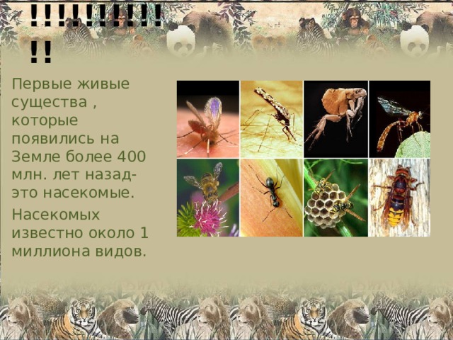 !!!!!!!!!!!! Первые живые существа , которые появились на Земле более 400 млн. лет назад- это насекомые. Насекомых известно около 1 миллиона видов. 