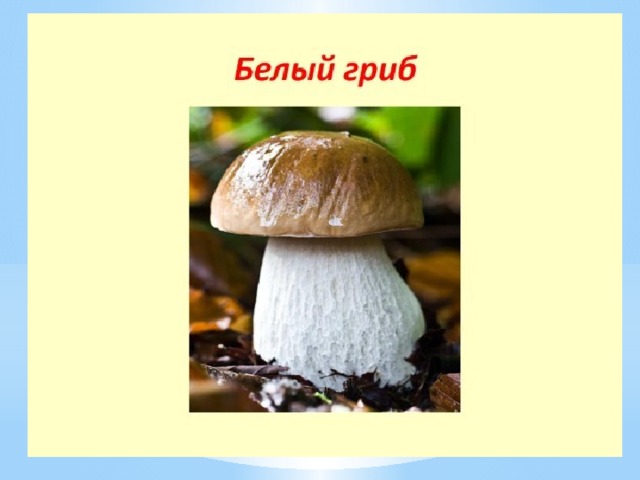 Что значит гриб. Белый гриб значение рисунок. Звуковое значение гриб. Что обозначает гриб с крестом.