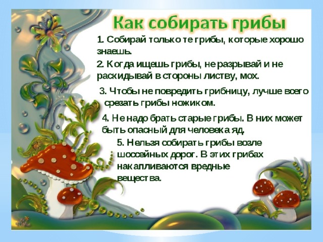 Как правильно снимать грибы Многообразие и значение грибов