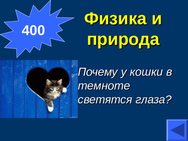 400 Физика и природа Почему у кошки в темноте светятся глаза? 