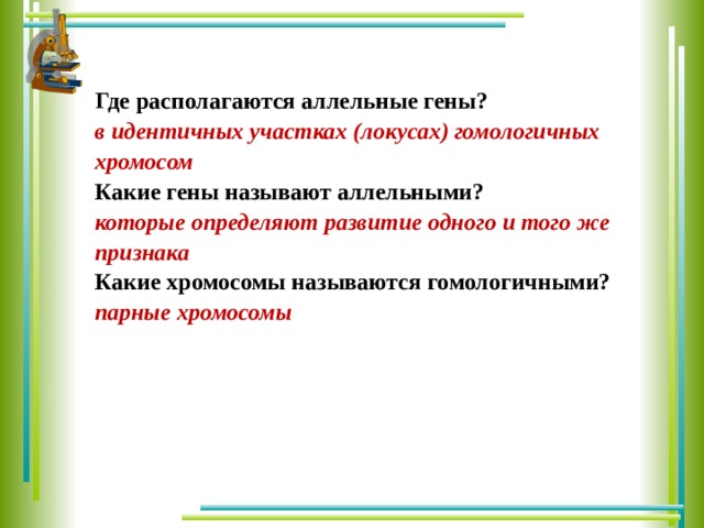 Где находятся гены. Где расположены гены. Где располагаются аллельные гены. Где расположены неаллельные гены. Аллельные гены расположены в идентичных.