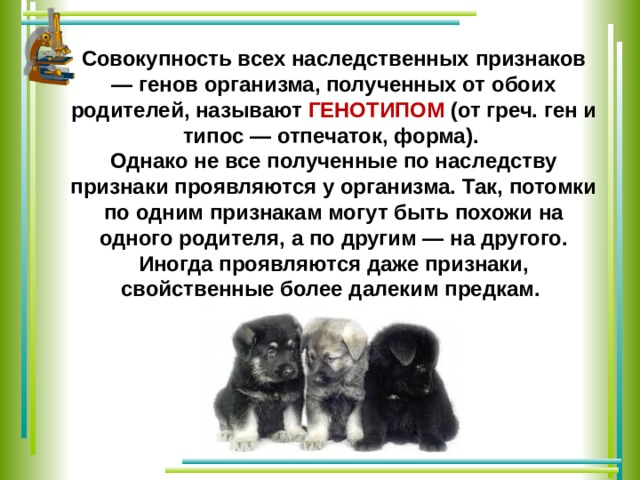 Массово одобряемые образцы поведения наследуемые от предков принято называть