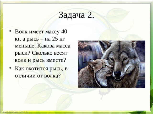 Задача 2. Волк имеет массу 40 кг, а рысь – на 25 кг меньше. Какова масса рыси? Сколько весят волк и рысь вместе? Как охотится рысь, в отличии от волка? 