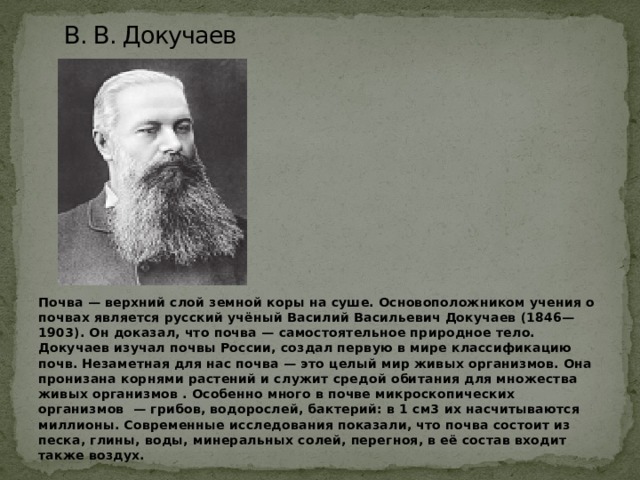 Ученый создавший учение о почвоведении. Докучаев почва. В.В. Докучаев (1846-1903). Основоположник учения о почвах.