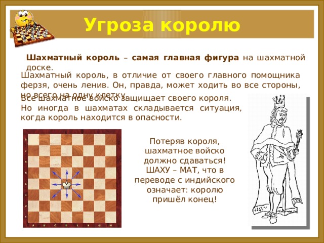 Рубит ли король в шахматах. Правила игры в шахматы Король. Шах королю в шахматах. Название шахматных фигур. Как ходят шахматные фигуры на шахматной доске.