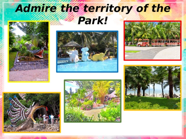Admire the territory of the Park! 