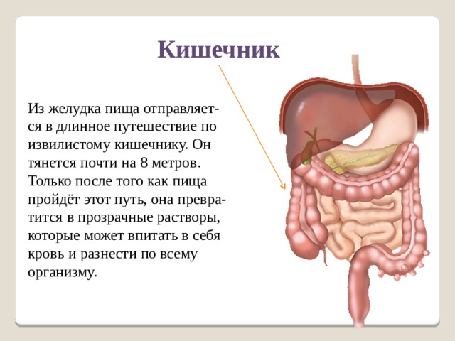 Кишечник плохо