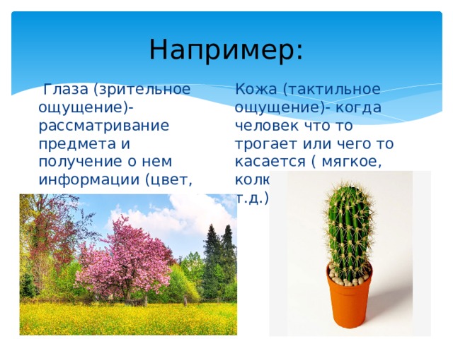 Например:  Глаза (зрительное ощущение)-рассматривание предмета и получение о нем информации (цвет, размер, состояние и т.д.) Кожа (тактильное ощущение)- когда человек что то трогает или чего то касается ( мягкое, колючее, теплое и т.д.) 