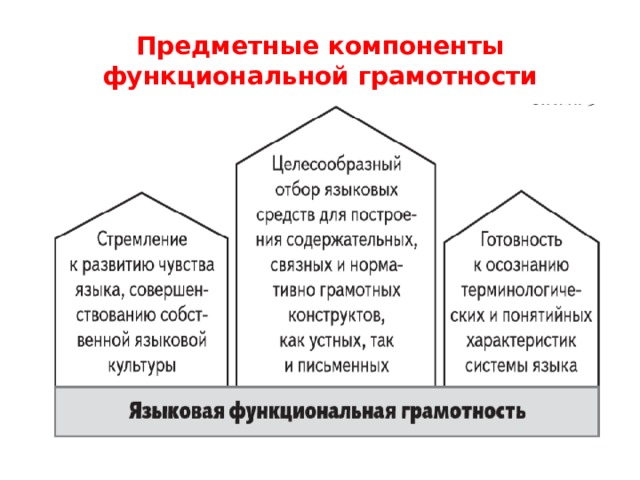 Почему мы видим иначе функциональная грамотность ответы. Функциональная грамотность составляющие компоненты. Предметные компоненты функциональной грамотности. Компоненты функциональной грамотности школьников. Компоненты функциональной грамотности младшего школьника.