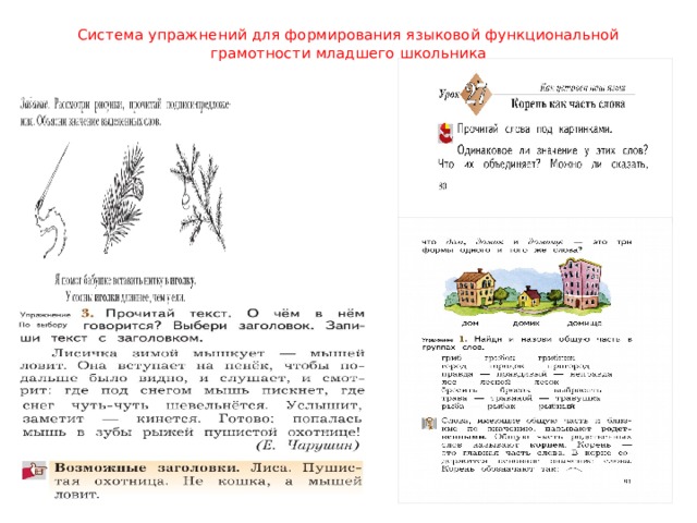 Что относится к интегративным компонентом функциональной грамотности