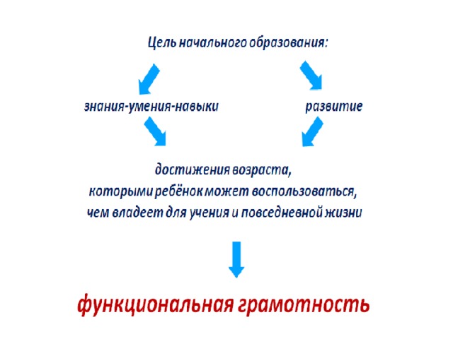 Что относится к интегративным компонентом функциональной грамотности