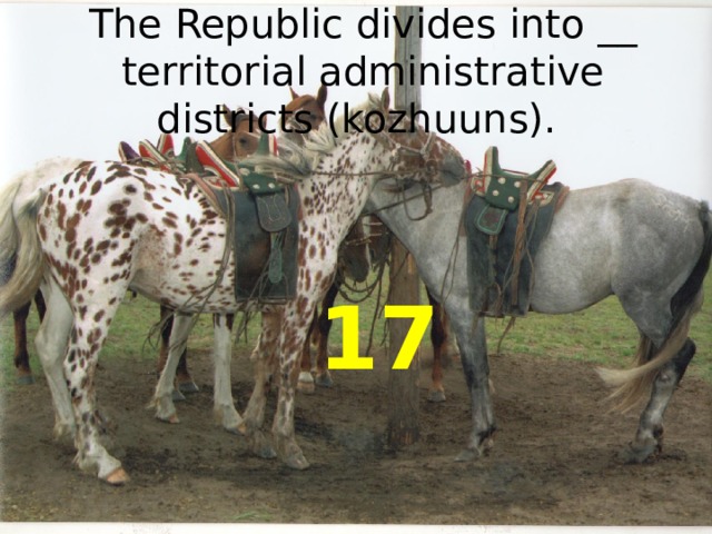 The Republic divides into __ territorial administrative districts (kozhuuns).  17 