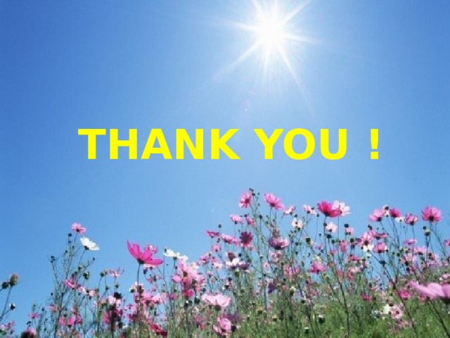 THANK YOU ! 