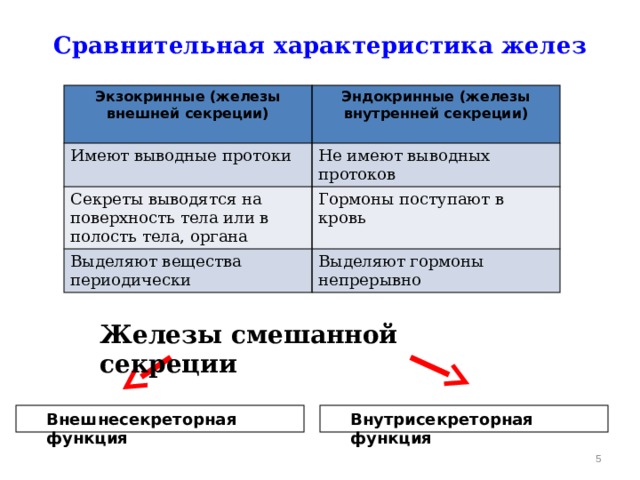 Сравнительная характеристика желез   Экзокринные (железы внешней секреции)  Эндокринные (железы внутренней секреции) Имеют выводные протоки Не имеют выводных протоков Секреты выводятся на поверхность тела или в полость тела, органа Гормоны поступают в кровь Выделяют вещества периодически Выделяют гормоны непрерывно  Железы смешанной секреции  Внешнесекреторная функция  Внутрисекреторная функция  