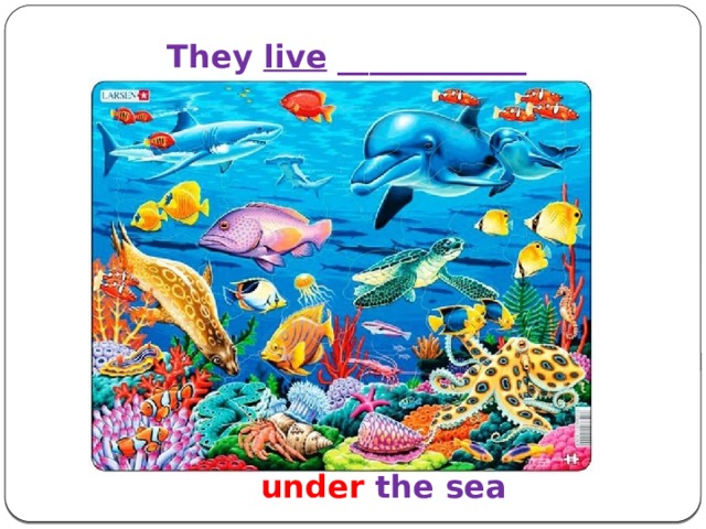 They live ____________  under the sea
