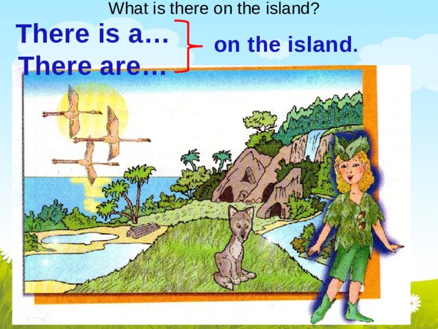What is there on the island? There is a… There are… on the island .