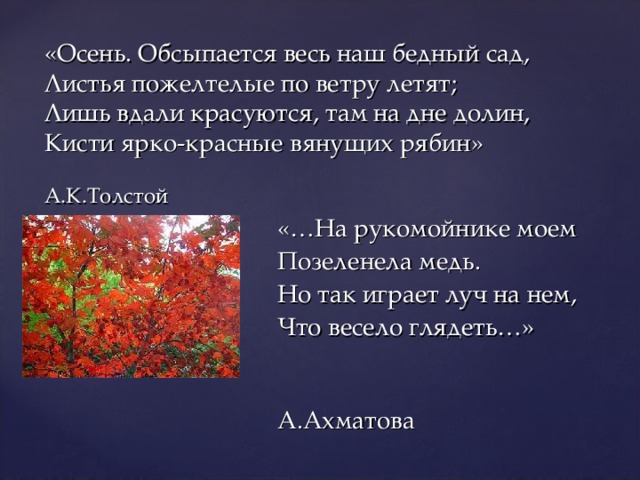 Толстой осень обсыпается весь наш бедный сад