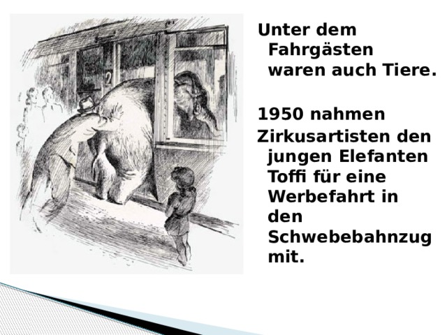 Unter dem Fahrg ästen waren auch Tiere.  1950 nahmen Zirkusartisten den jungen Elefanten Toffi für eine Werbefahrt in den Schwebebahnzug mit. 