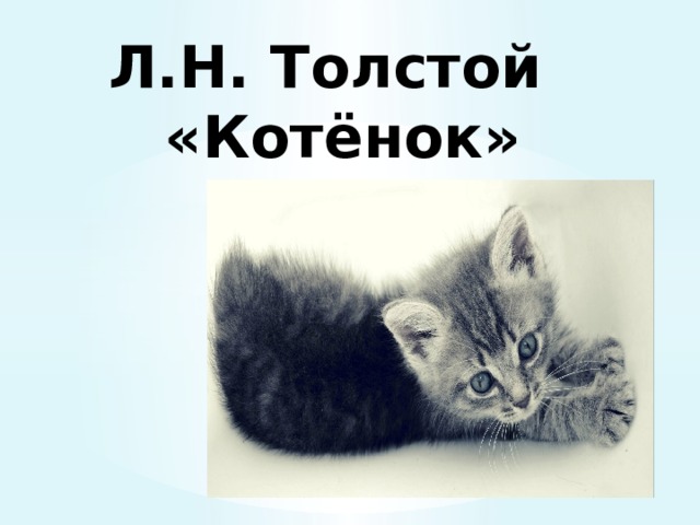 Презентация котенок толстой