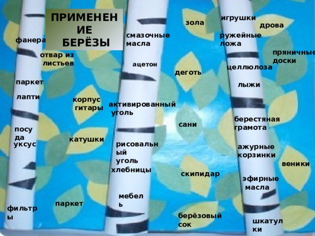 Только ведь загадка не обо всем говорит. Дел- то у берёзки гораздо больше. Берёза - это качественная фанера, отличающаяся нежным, оригинальным рисунком, мебель, ложи охотничьих ружей, посуда; берёза - это метиловый спирт, уксус, ацетон. Из-под пресса берёза идет на изготовление подшипников, шестерён, прокладок для труб. Народные умельцы изготовляют из бересты немало красивых и полезных вещей : легкие ажурные корзинки, солонки, хлебницы,  а в древние времена береста на Руси выполняла роль бумаги. Много чуть-чуть поблекших ее рулонов, густо исписанных старинными славянскими письменами, найдено в Новгороде и других очагах древнерусской культуры. А верхний слой берёзовой коры - береста - лучшее сырьё для изготовления дегтя и различных смазочных масел. Из дёгтя же, в свою очередь, получают много ценных промышленных продуктов. 