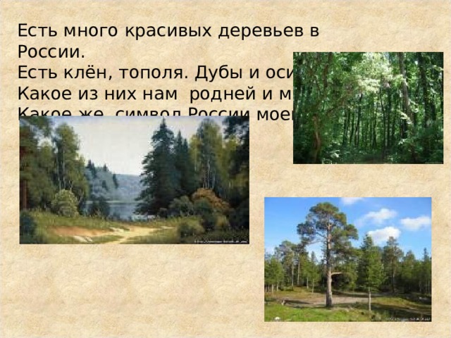 Есть много красивых деревьев в России. Есть клён, тополя. Дубы и осины. Какое из них нам родней и милей? Какое же символ России моей? 