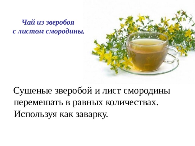 Чай из зверобоя с листом смородины. Сушеные зверобой и лист смородины перемешать в равных количествах. Используя как заварку.