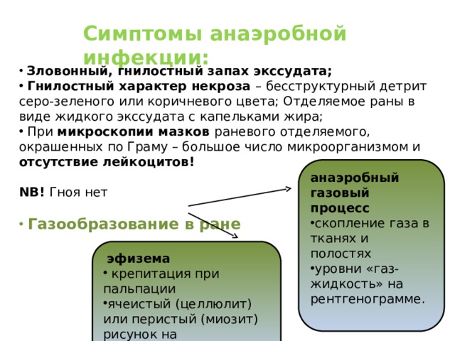 Симптом сетчатый рисунок красноты