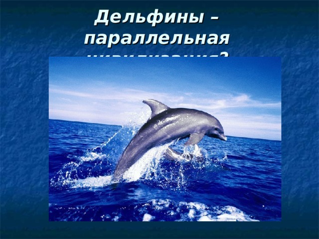 Дельфины – параллельная цивилизация? 