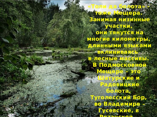 Стихотворение сергея есенина топи да болота. День водно-болотных угодий. Стихотворение топи да болота. Анализ стихотворения топи да болота. Топи да болота анализ.