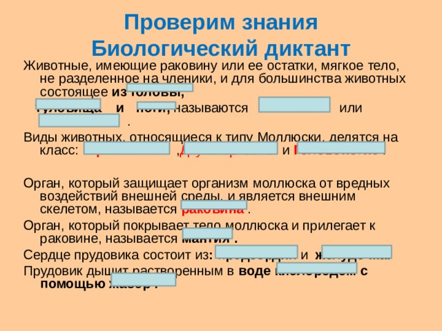 Проверим знания  Биологический диктант Животные, имеющие раковину или ее остатки, мягкое тело, не разделенное на членики, и для большинства животных состоящее из головы,  туловища и ноги, называются моллюски   или мягкотелые . Виды животных, относящиеся к типу Моллюски, делятся на класс: Брюхоногие , Двустворчатые и Головоногие . Орган, который защищает организм моллюска от вредных воздействий внешней среды, и является внешним скелетом, называется раковина . Орган, который покрывает тело моллюска и прилегает к раковине, называется мантия . Сердце прудовика состоит из : предсердия и желудочка. Прудовик дышит растворенным в воде кислородом с помощью жабер . 