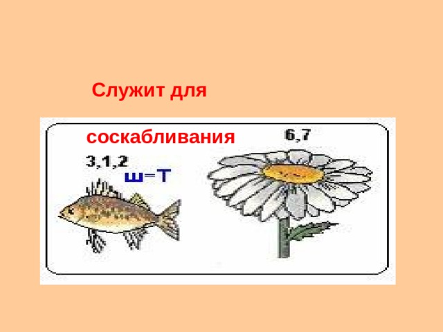  Служит для соскабливания 