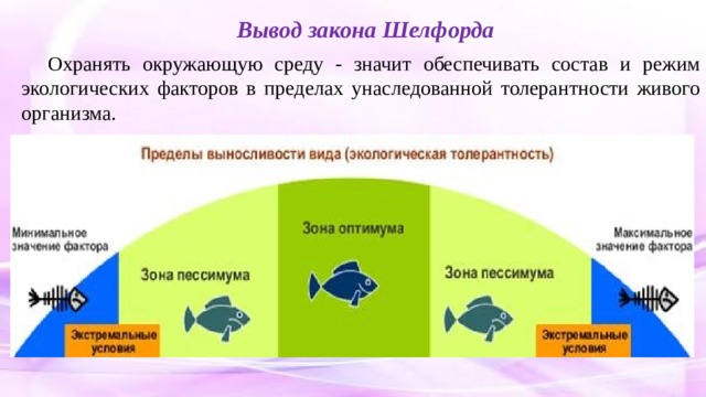 Экологический режим на курортах презентация