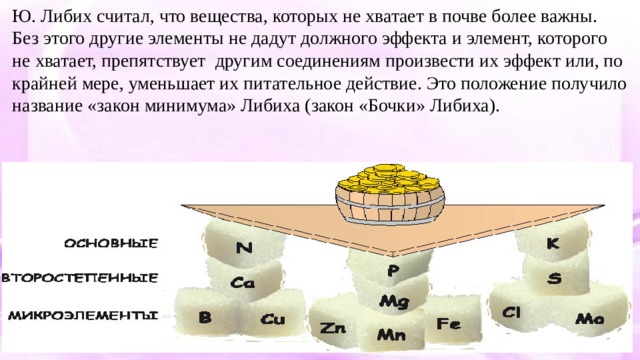 Закон минимума Либиха в экологии. Бочка Либиха. Законы Либиха и Шелфорда экология презентация. Конуни минимумии Либих хулуди телонтрики.