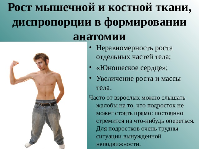 Рост мышечной и костной ткани, диспропорции в формировании анатомии Неравномерность роста отдельных частей тела; «Юношеское сердце»; Увеличение роста и массы тела. Часто от взрослых можно слышать жалобы на то, что подросток не может стоять прямо: постоянно стремится на что-нибудь опереться. Для подростков очень трудны ситуации вынужденной неподвижности. 