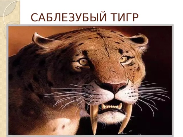 САБЛЕЗУБЫЙ ТИГР 