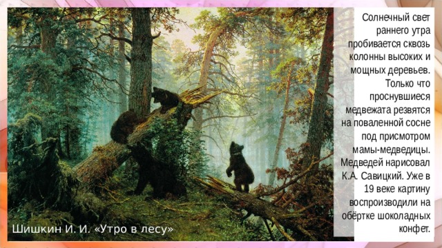 Солнечный свет раннего утра пробивается сквозь колонны высоких и мощных деревьев. Только что проснувшиеся медвежата резвятся на поваленной сосне под присмотром мамы-медведицы. Медведей нарисовал К.А. Савицкий. Уже в 19 веке картину воспроизводили на обёртке шоколадных конфет. Шишкин И. И. «Утро в лесу»