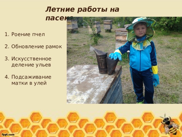 Летние работы на пасеке Роение пчел Обновление рамок Искусственное деление ульев Подсаживание матки в улей 