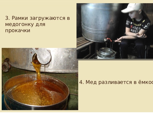 3. Рамки загружаются в медогонку для прокачки 4. Мед разливается в ёмкости 