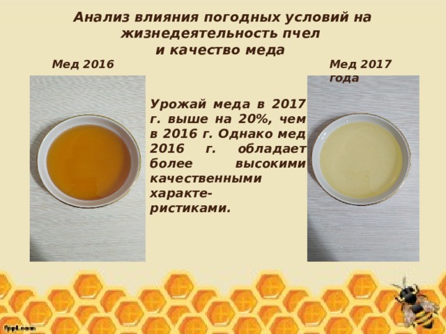 Исследовательский проект на тему мед